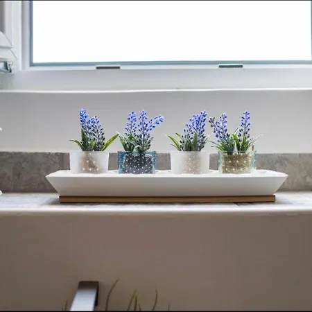 Cvita Apartament